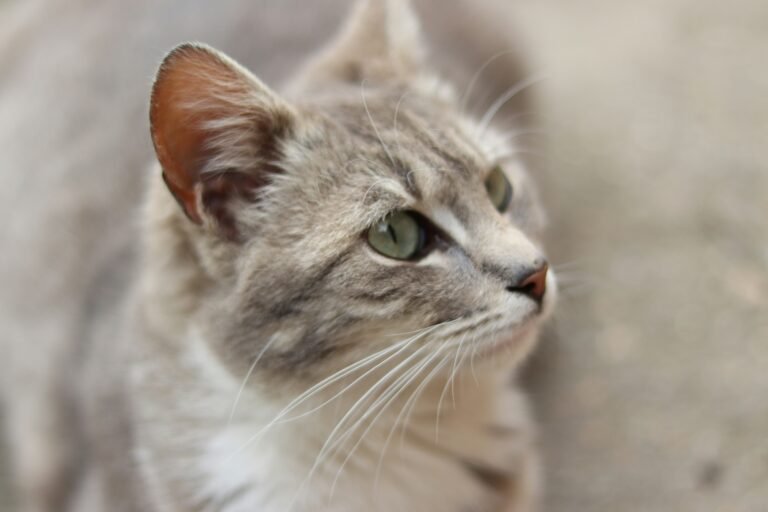 vlad-QJQDUYN75Ks-unsplash