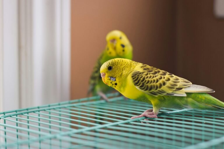 alex-meza-EAu7RmlASNw-unsplash