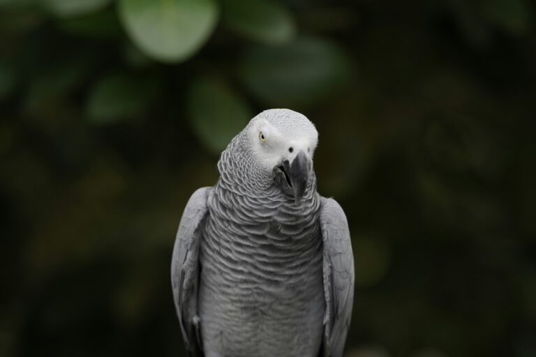 elizabeth-mary-im71ifG_O7E-unsplash