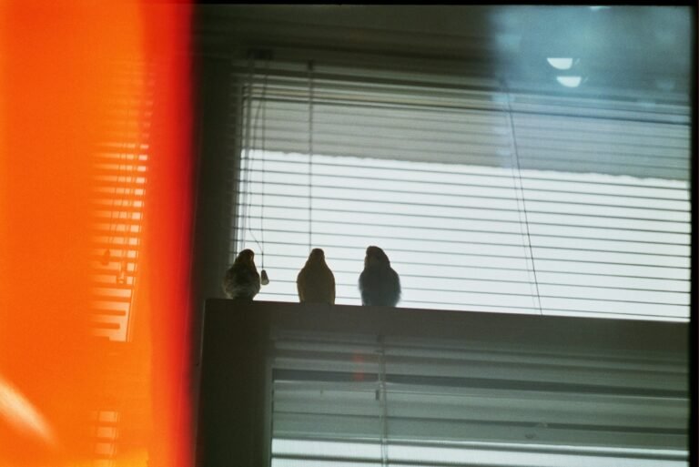 julia-rekamie-hzpzirU2HK4-unsplash