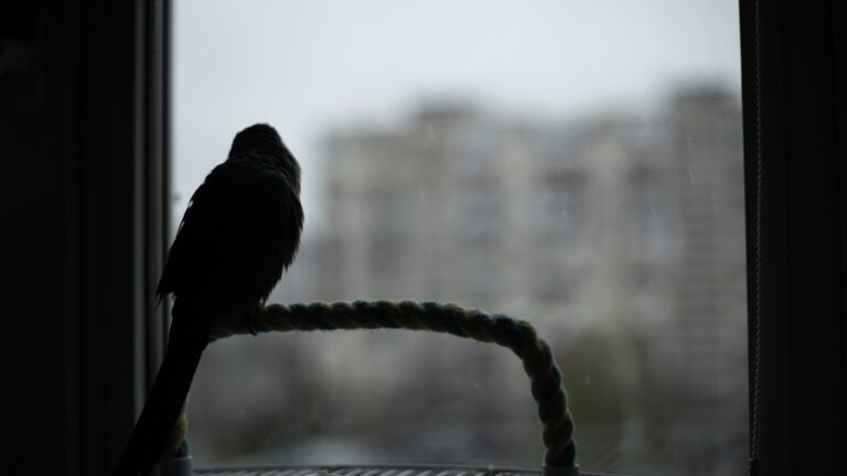 nina-zaychenko-zi4QcffwjMs-unsplash
