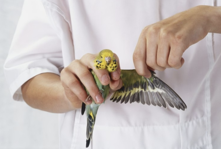 螢幕截圖 2025-06-22 上午12.58