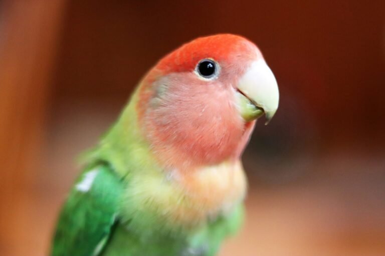 carolina-de-leon-aPyE31lXsNk-unsplash