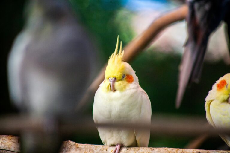 dave-sandoval-AXJ1NUdBxXY-unsplash