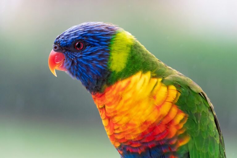 gabriel-sepulveda--RqSRmlB5Wk-unsplash