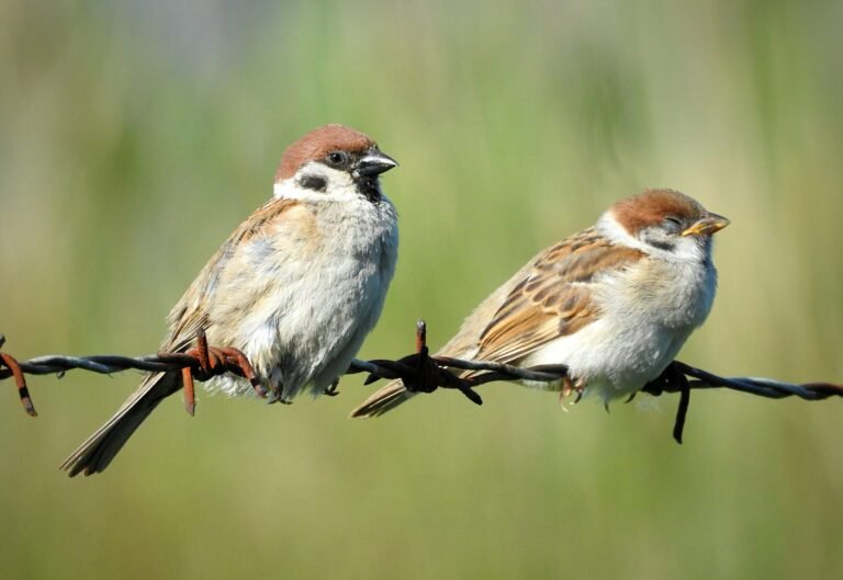 lukas-kadava-hUa2GVNwQKo-unsplash