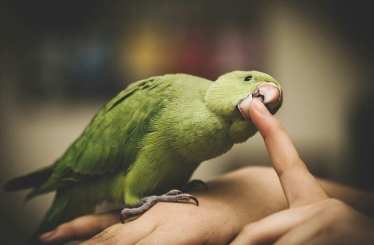 m-o-e-rVoflHZZRns-unsplash