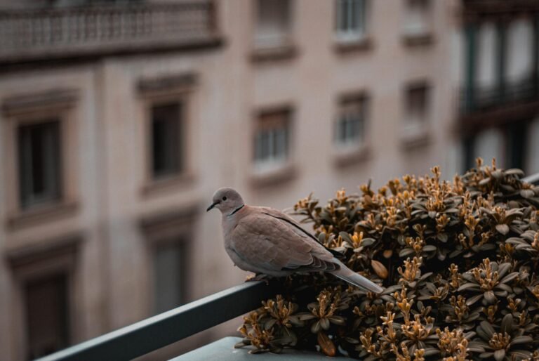 pexels-carlos-copete-114407612-9722361