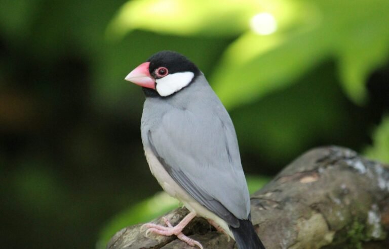 tammy-park-aWfb470krnM-unsplash (1)