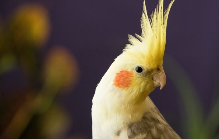 ursula-gamez-uQ1Xg4dT07I-unsplash