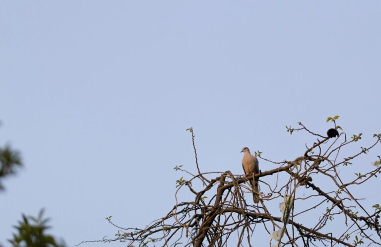 vd-photography-udhCdFs3jsA-unsplash