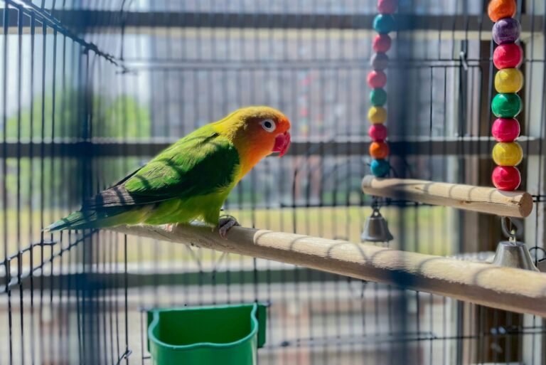 wang-jiaolong-RzYBeV5IBrY-unsplash