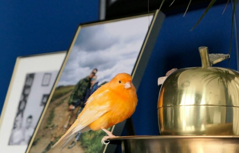 wojciech-celinski-OU9KWcj9-NU-unsplash