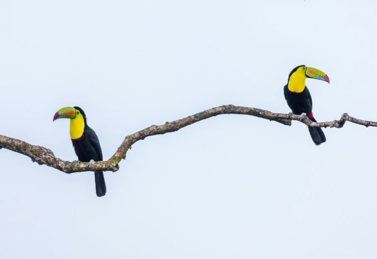 zdenek-machacek-EtxsgEcHnZg-unsplash