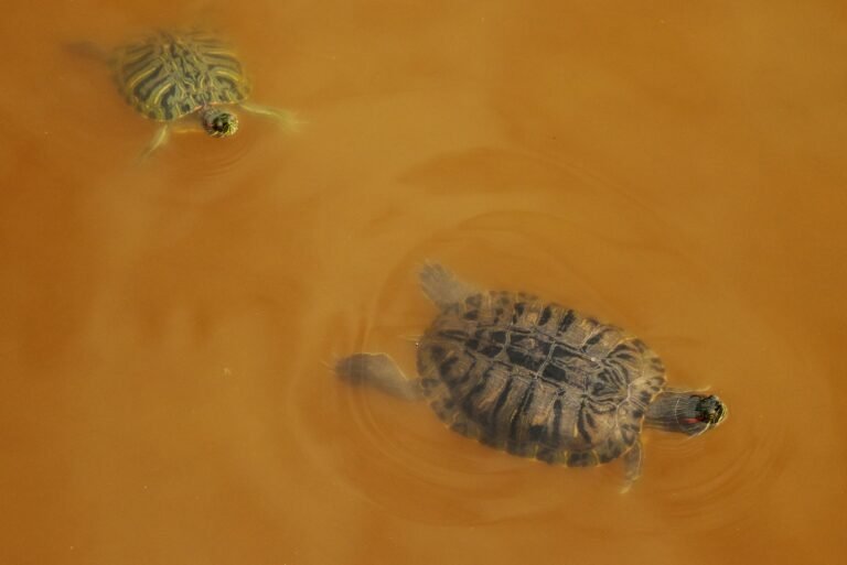 andrew-lvov--bAgnrqjAFI-unsplash