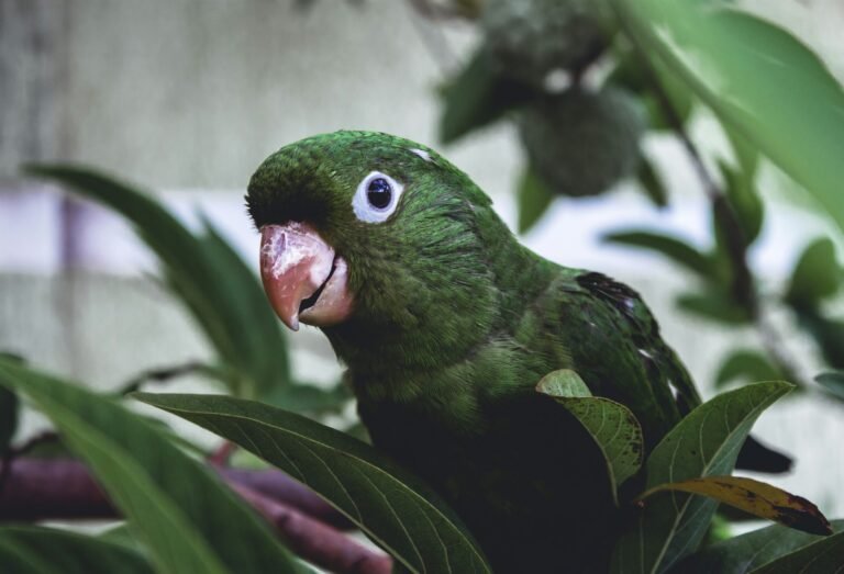 antonino-visalli-M0_yupMxTzg-unsplash