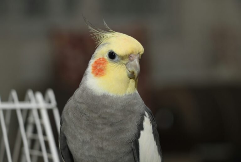 bita-eskandari-C0ylMnDgJRA-unsplash (1)