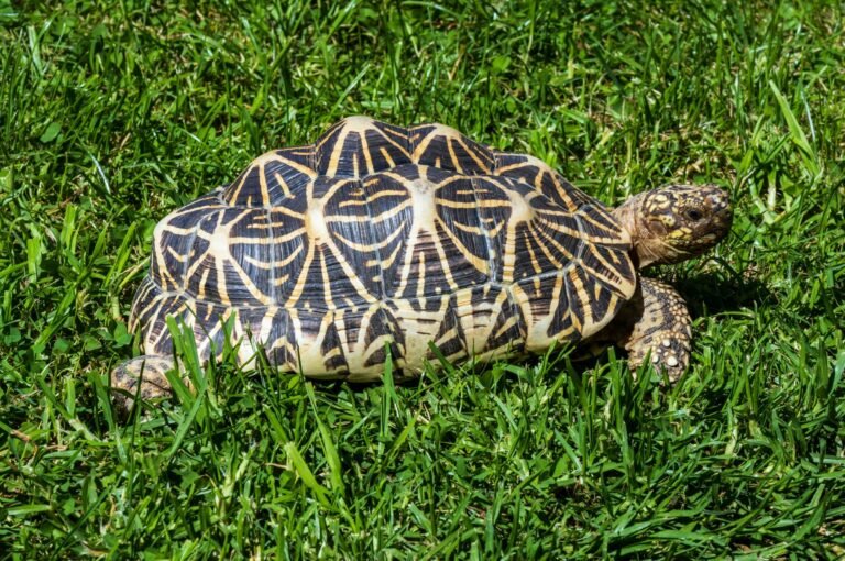 david-clode-hoB7xZVsAIk-unsplash