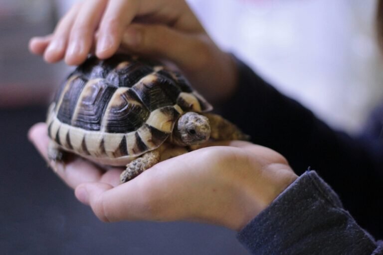 fernando-mate-J1R-xl_TPPM-unsplash