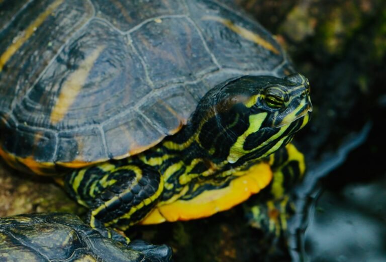 james-wainscoat-Sy-pA2WcjkY-unsplash