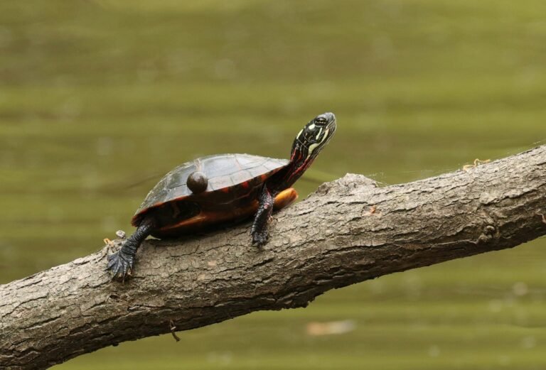 jan-allbeck--xlj2b8lVyA-unsplash