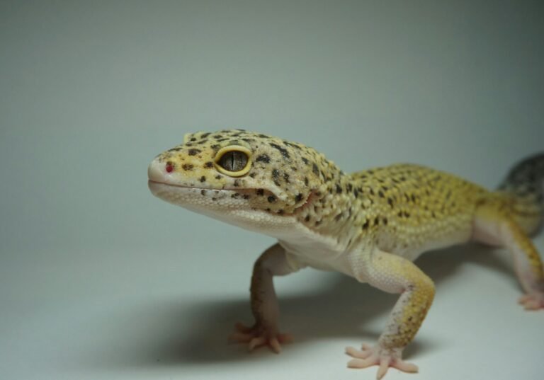 marcin-zalewski-89RJiJipfdI-unsplash