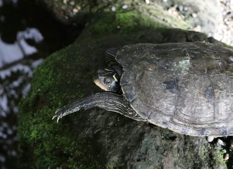 vera-ulrich-B2sL_8JHv4o-unsplash