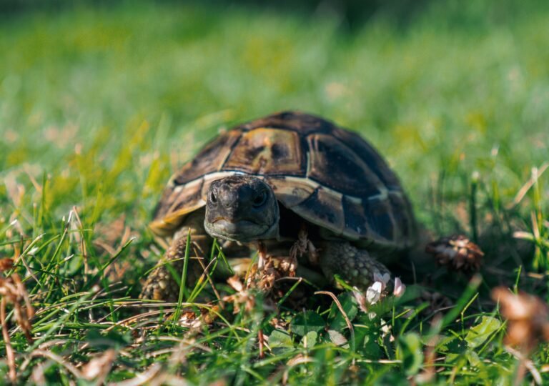 alvin-david-DZFS4Z1G4CU-unsplash