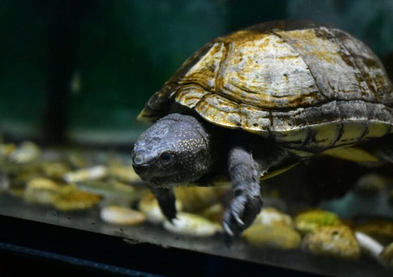 bofu-shaw-Brr7ZCMW3aM-unsplash