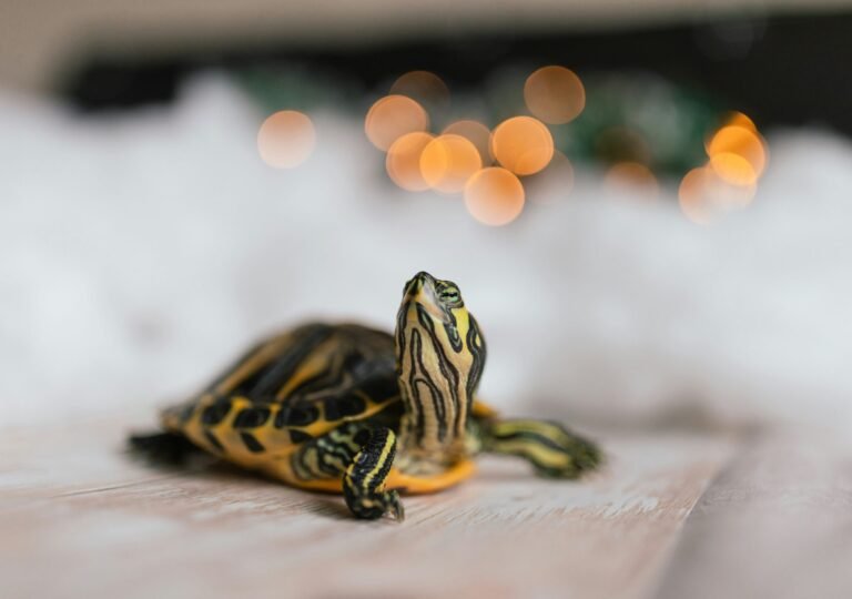 brittney-weng-y8EUBGLDr5I-unsplash