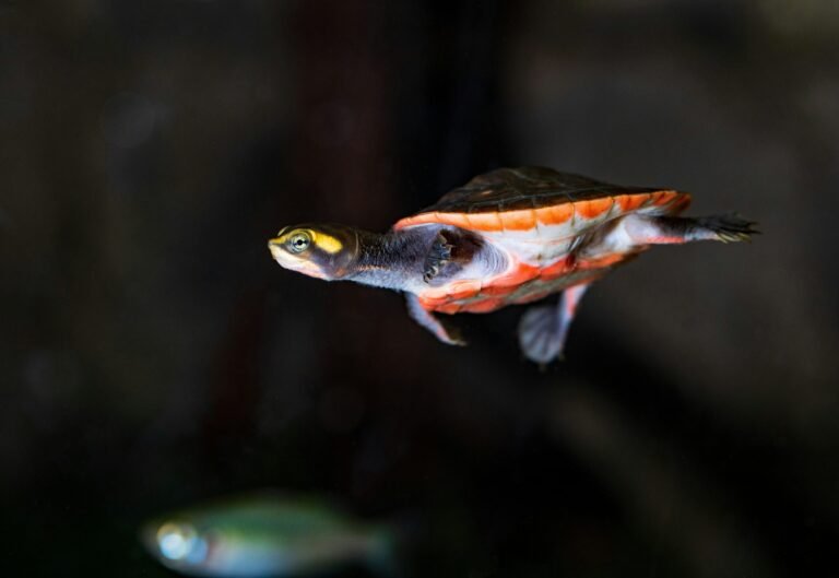 david-clode-heoRrJk-m44-unsplash