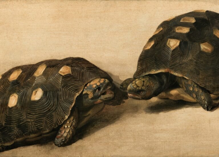 europeana-Edf7uhc_xZo-unsplash