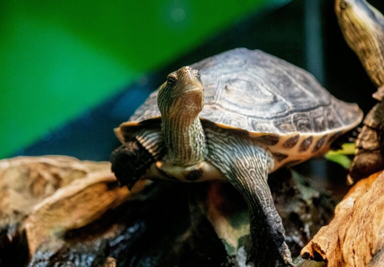 jeff-mclain-85oJQ-TrxTw-unsplash