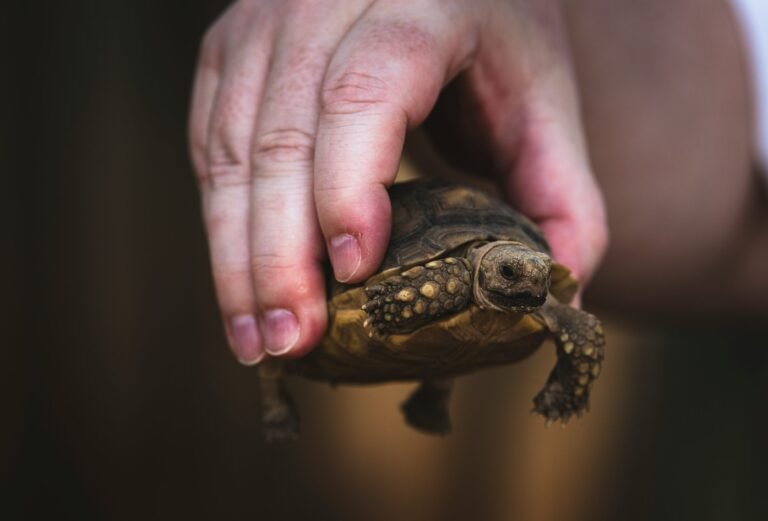 jon-sailer-57Md2KmCn0U-unsplash