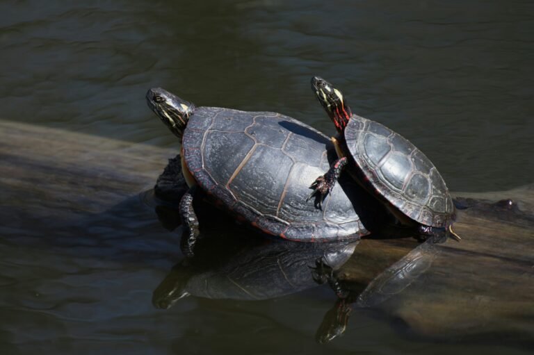 karl-heinz-muller-tDH9qXcCAPM-unsplash