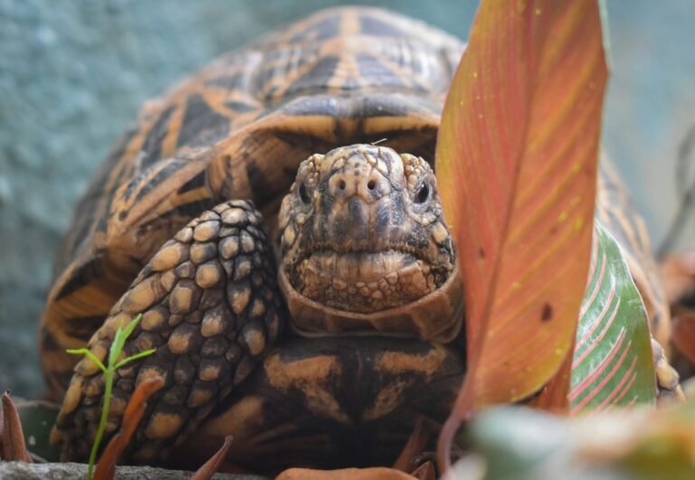 li-panidara-5kZu7fcATEM-unsplash