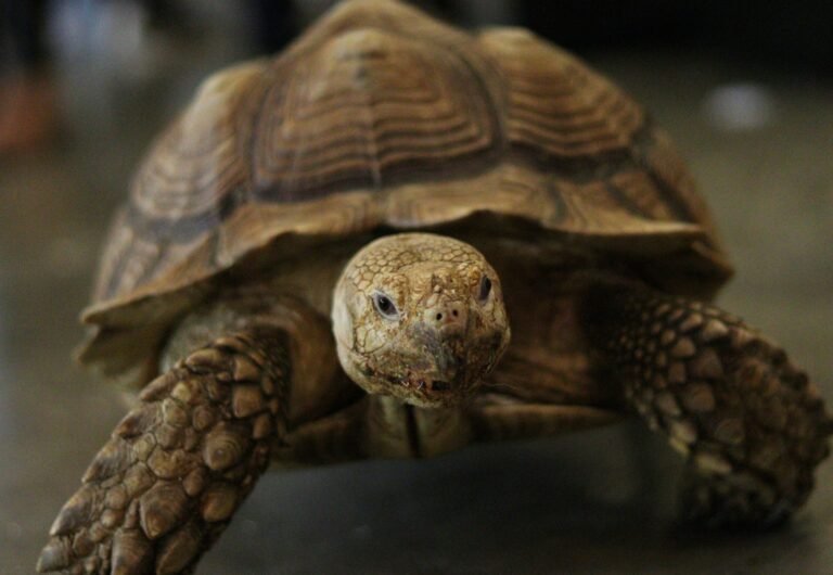 morrow-solutions-enblq_D4AKA-unsplash