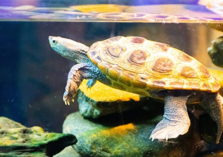 robin-teng-r1dzdaOiIgY-unsplash