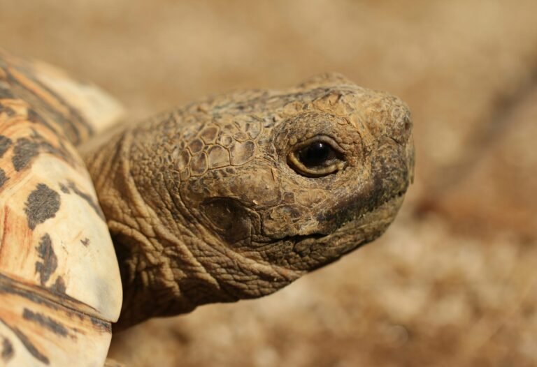 sandy-millar-pxWA2D20WgA-unsplash