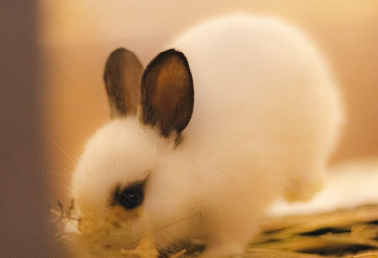 allahverdi-israfilli-U0RUtrlqE20-unsplash