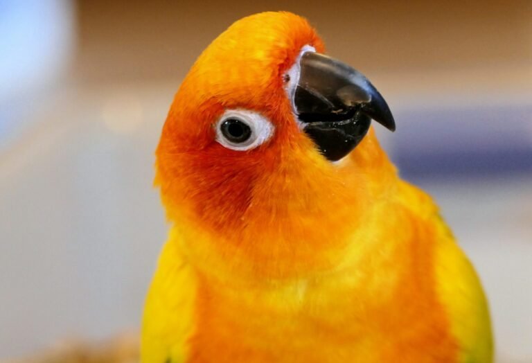 andrea-lightfoot-l74YFcIJ5dQ-unsplash