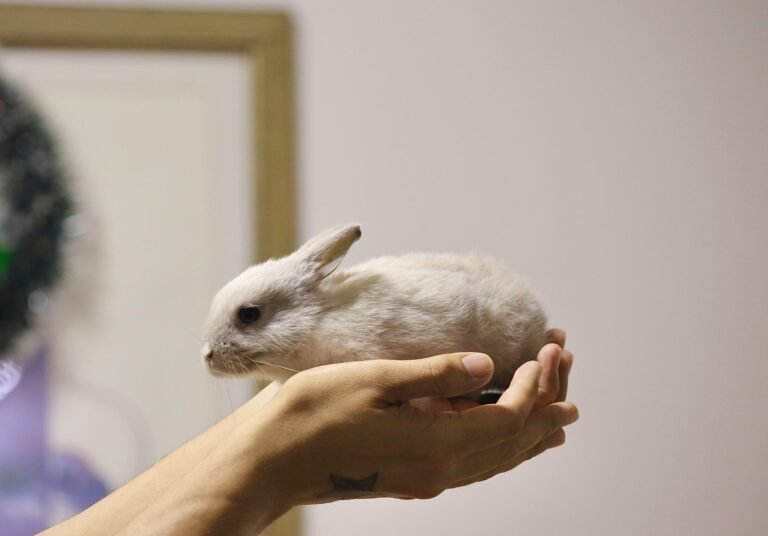 ankur-madan-CEU5OAeF1kU-unsplash