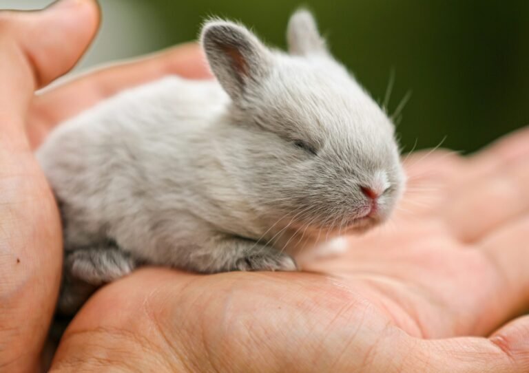 ankur-madan-PmJHaE0vhK0-unsplash