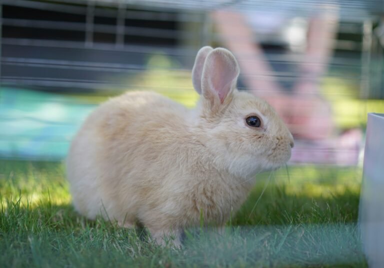 burul-dyikanbekova-Rgo8ueiwepI-unsplash