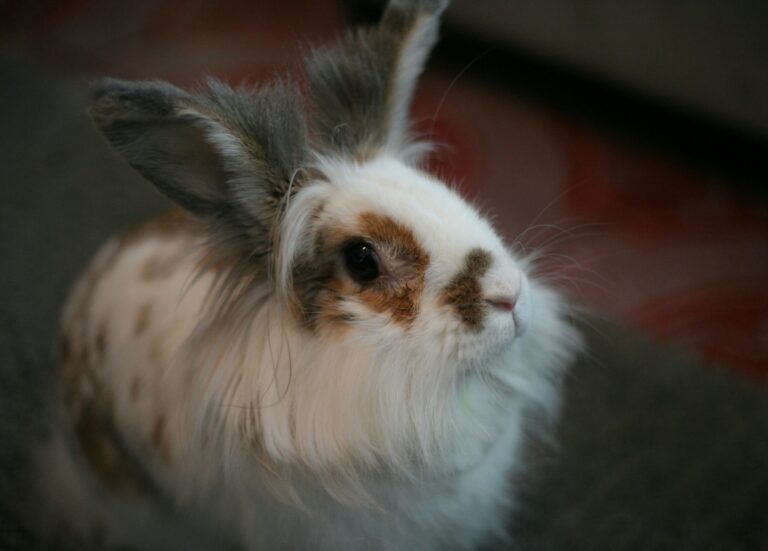 daniel-rios-GS8-m_u7iK4-unsplash