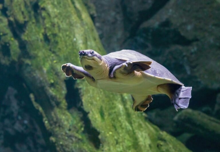 david-clode-0-r1XpveOiA-unsplash