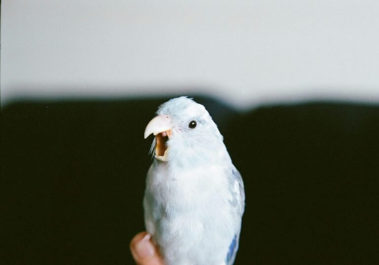 fernanda-nauata-5ZEWTKsz35Y-unsplash