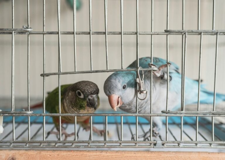 hugo-wai-koRelPOhNs4-unsplash