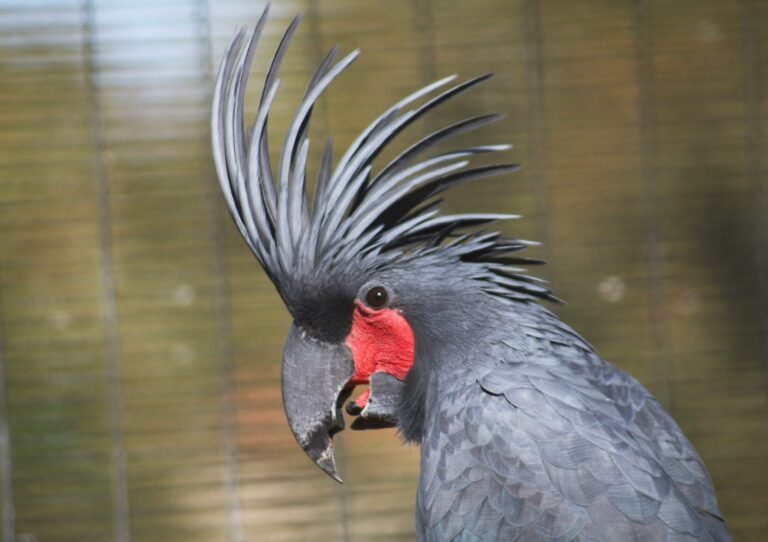 james-lee-WEhKxMhtpLg-unsplash