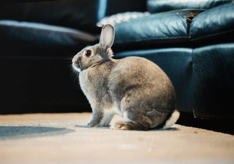 jason-leung-HZDi_Sh0nys-unsplash